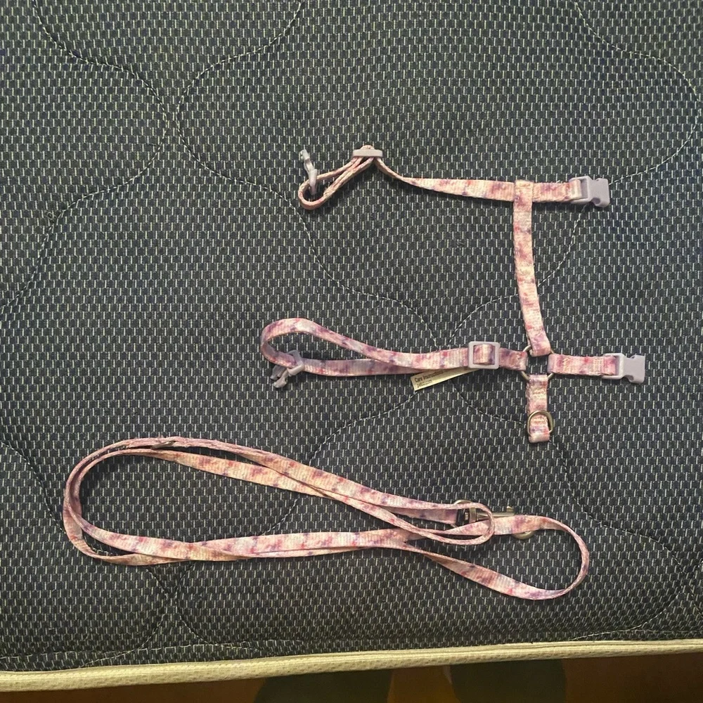 Youly Kitten Harnessess | Space Kitten & Pink and Purple